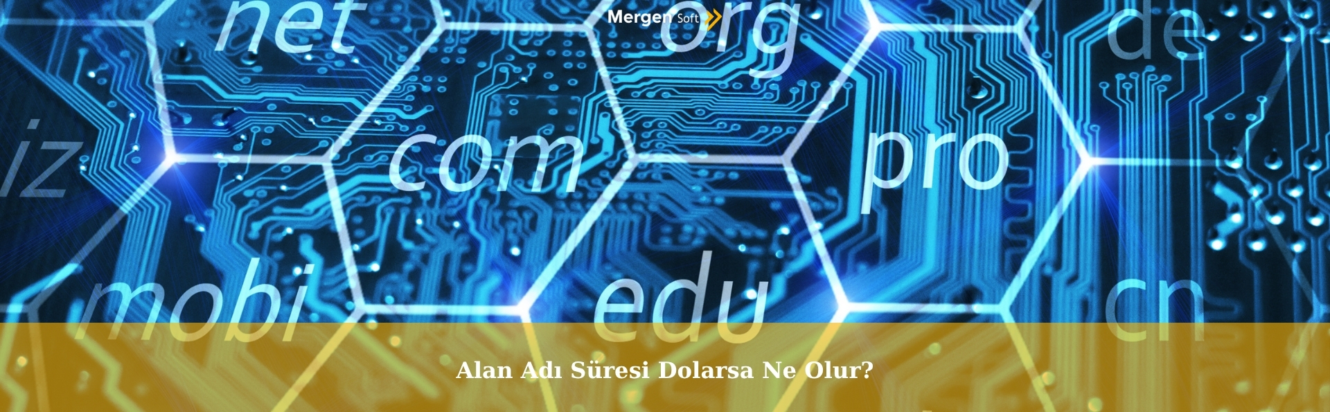 Alan Adı Süresi Dolarsa Ne Olur?